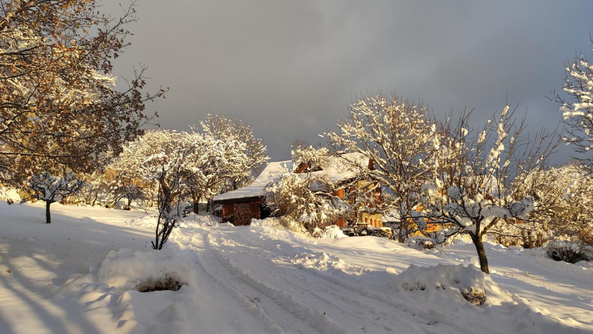Chalet Mounette Ski Sauna Lac Embrun Puy-Sanieres ภายนอก รูปภาพ